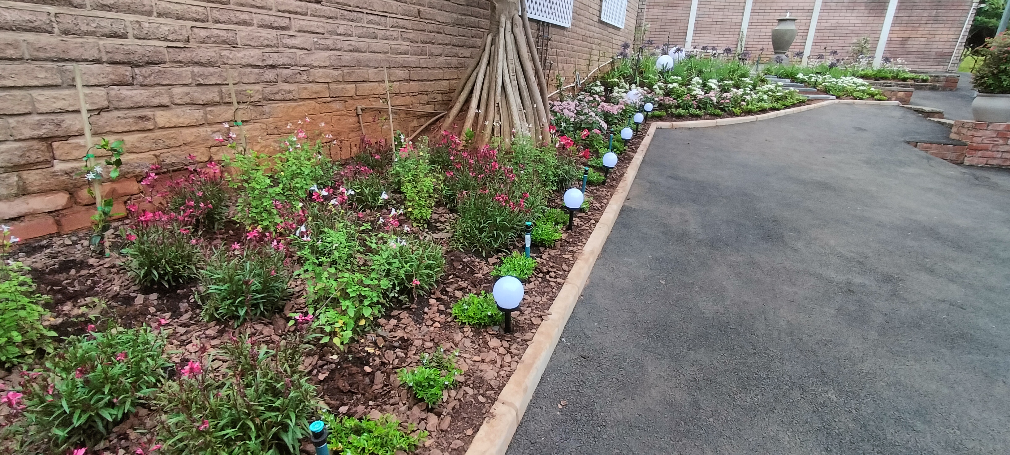 Commercial property maintained by South Coast Garden Maintenance